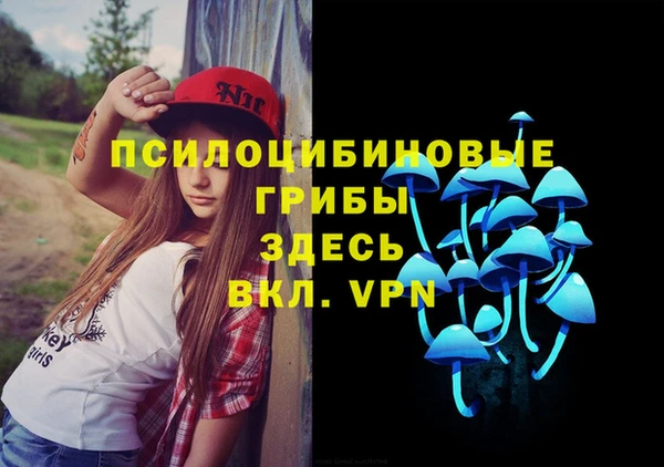 круглые Вяземский